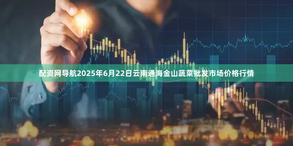 配资网导航2025年6月22日云南通海金山蔬菜批发市场价格行情