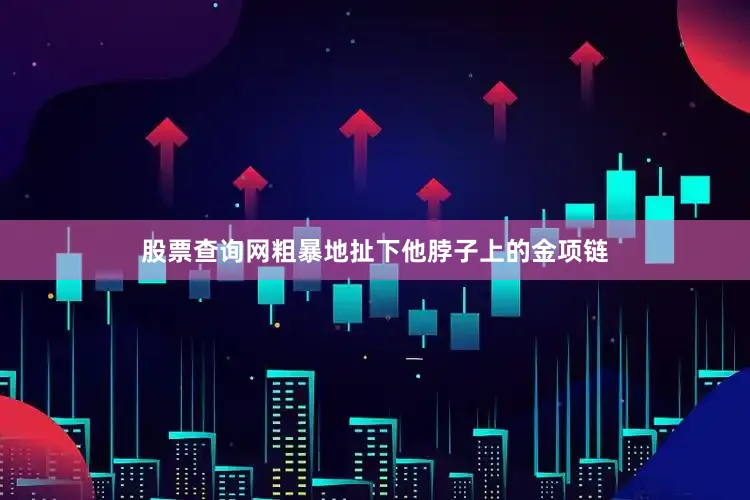 股票查询网粗暴地扯下他脖子上的金项链